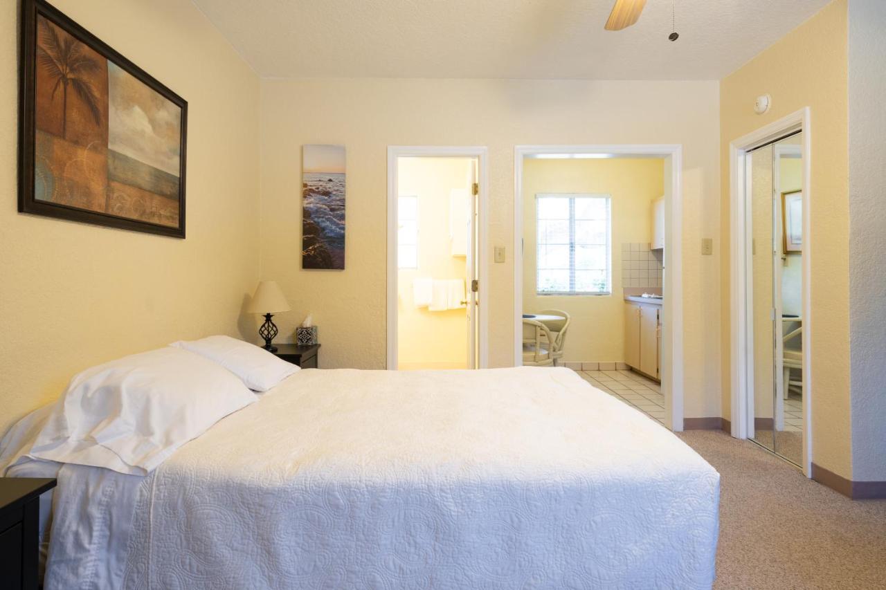 Mar Bay Exclusive Suites Safety Harbor Ngoại thất bức ảnh